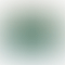 PD Image