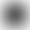 PD Image