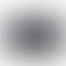 PD Image