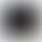 PD Image