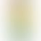 Vivo T1x - Refurbished_Black_Front_53704