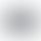 Apple MacBook Pro 2021 a2442 (Apple M1 Max Chip 14 Inch)- Refurbished_Space Grey_Back_61579