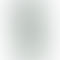 Samsung Galaxy A56 5G - Refurbished_Olive_Back_61874