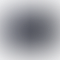 PD Image