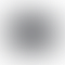 PD Image