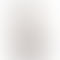 Vivo Y19 5G - Refurbished_Titanium Silver_Back_62766