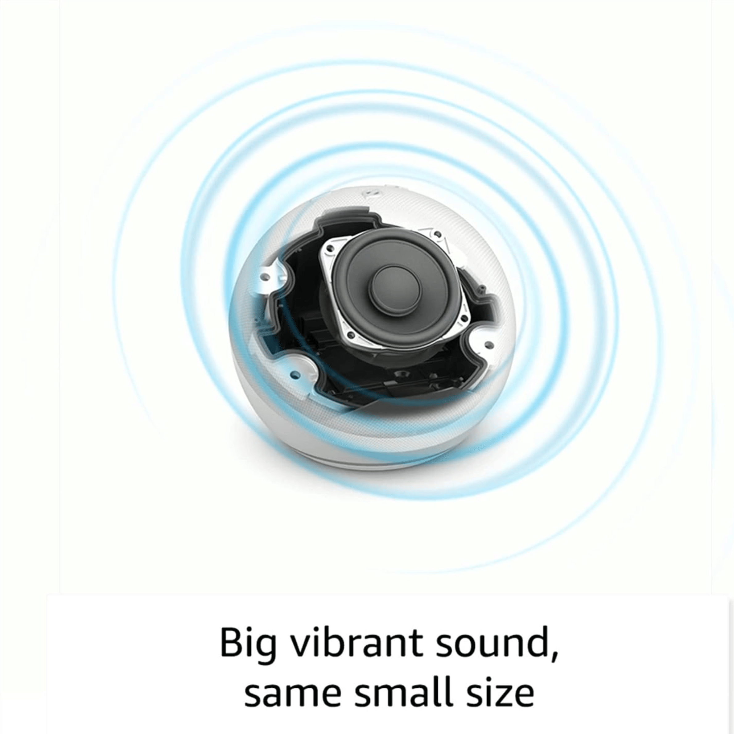 Amazon Echo Dot (5th Gen) _All_Others_115403