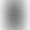 Vivo X100 Pro - Refurbished_Asteroid Black_Back_51494