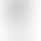 Xiaomi 14 - Refurbished_Classic White_Back_52345