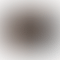 thumbnail_0