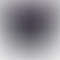 PD Image