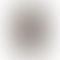 PD Image