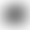 thumbnail_0
