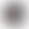 PD Image