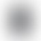 PD Image