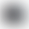 PD Image