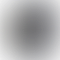 PD Image