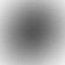 thumbnail_1