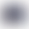 PD Image