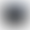 PD Image