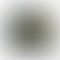 PD Image