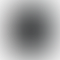 PD Image