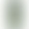 Realme 11 Pro Plus 5G -Oasis green-back