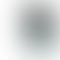 OPPO Reno12 5G - Refurbished_Astro Silver_Phone With Box_46669