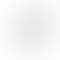 HP/Compaq Pavilion Series 14-dv2053TU (Intel Core i5 12th Gen 14 Inch)- Refurbished_Silver_Back_61970