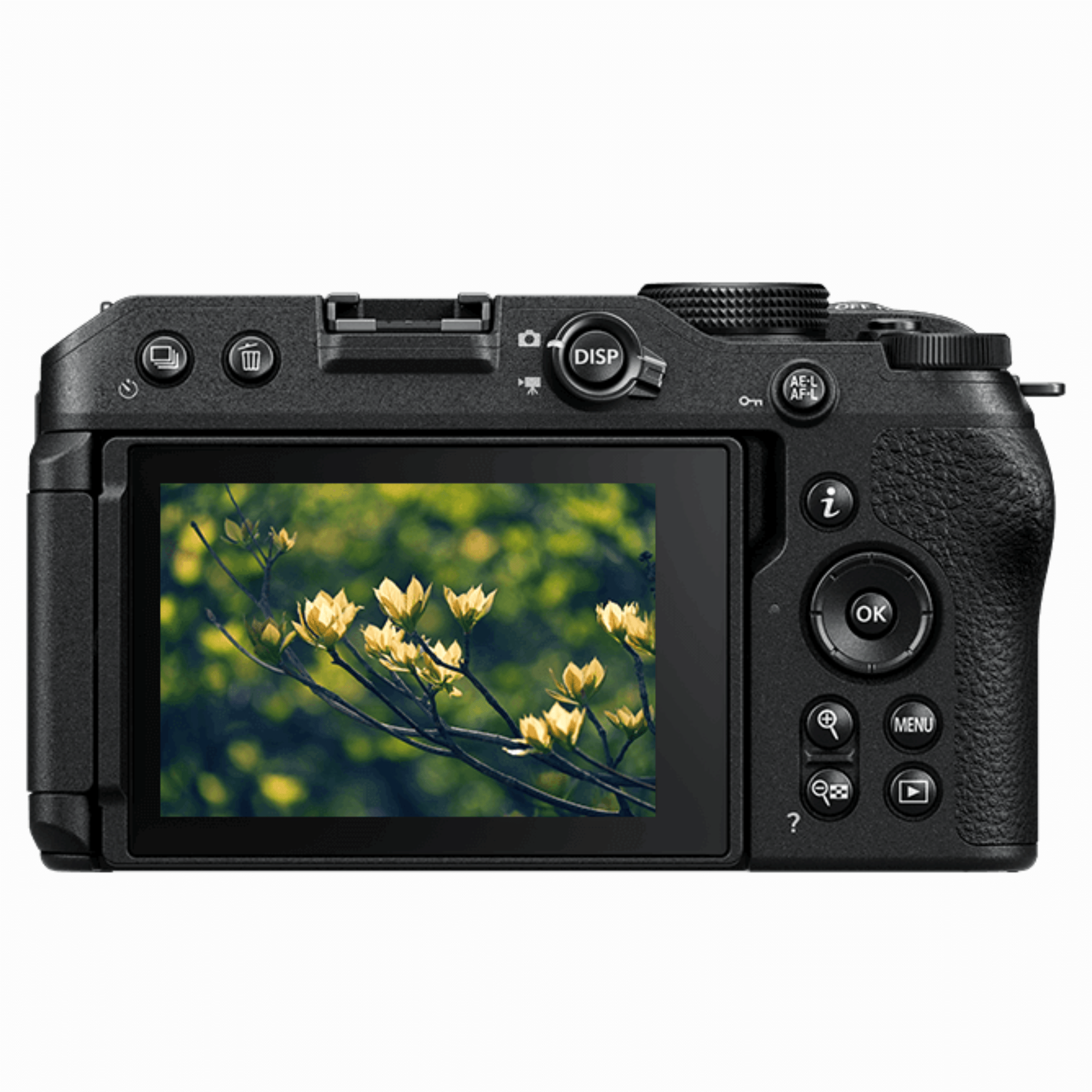 Nikon Z 30 20.9MP Mirrorless Camera - Refurbished_Black_Bottom_117537