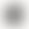 thumbnail_5