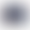 PD Image