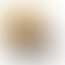 thumbnail_5