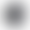 PD Image