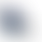 PD Image