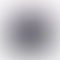 PD Image