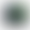 PD Image