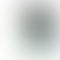 Vivo Y300 Plus 5G - Refurbished_Silk Green_Phone With Box_57503