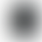 PD Image
