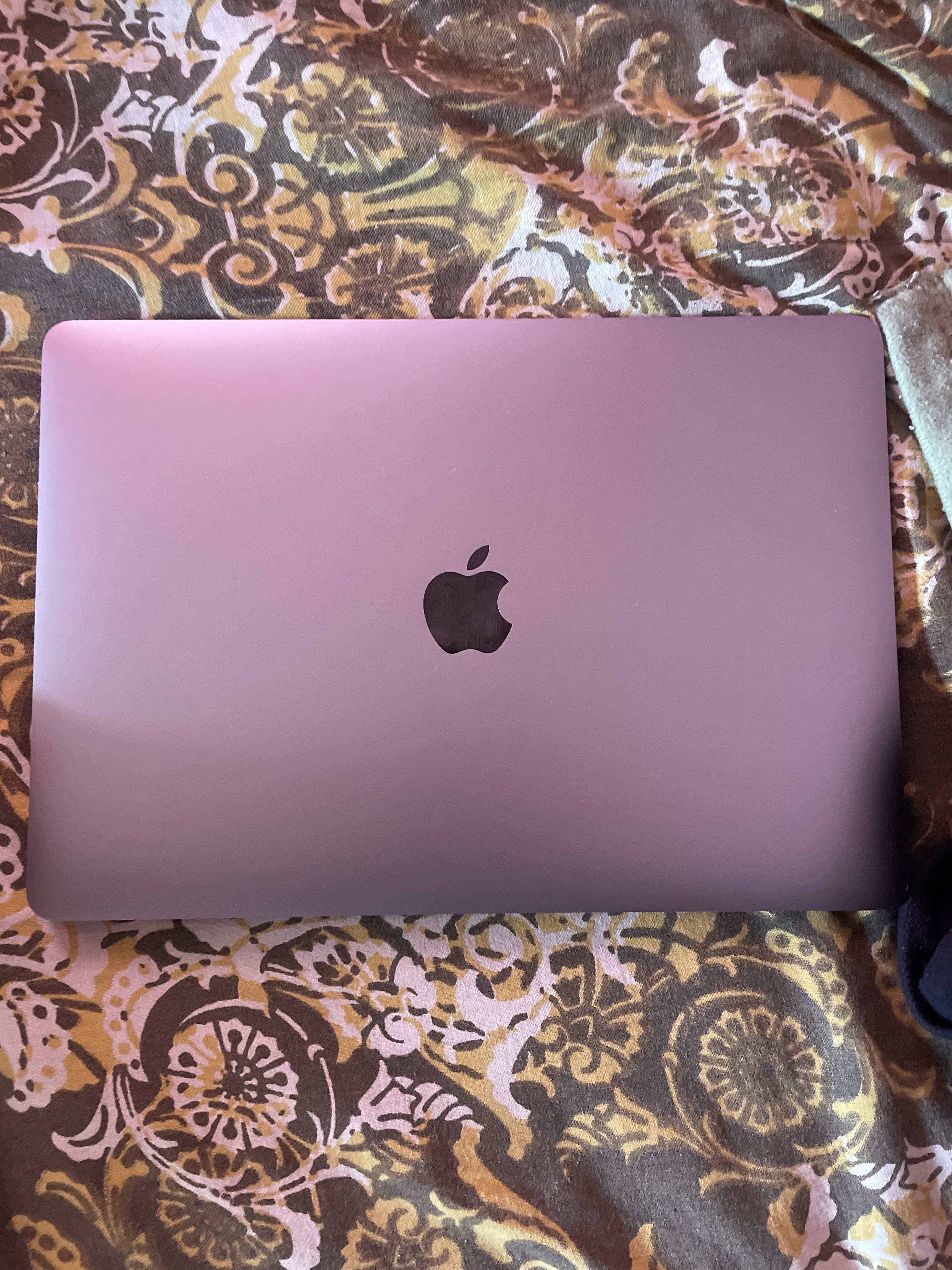 review-image-102264-2