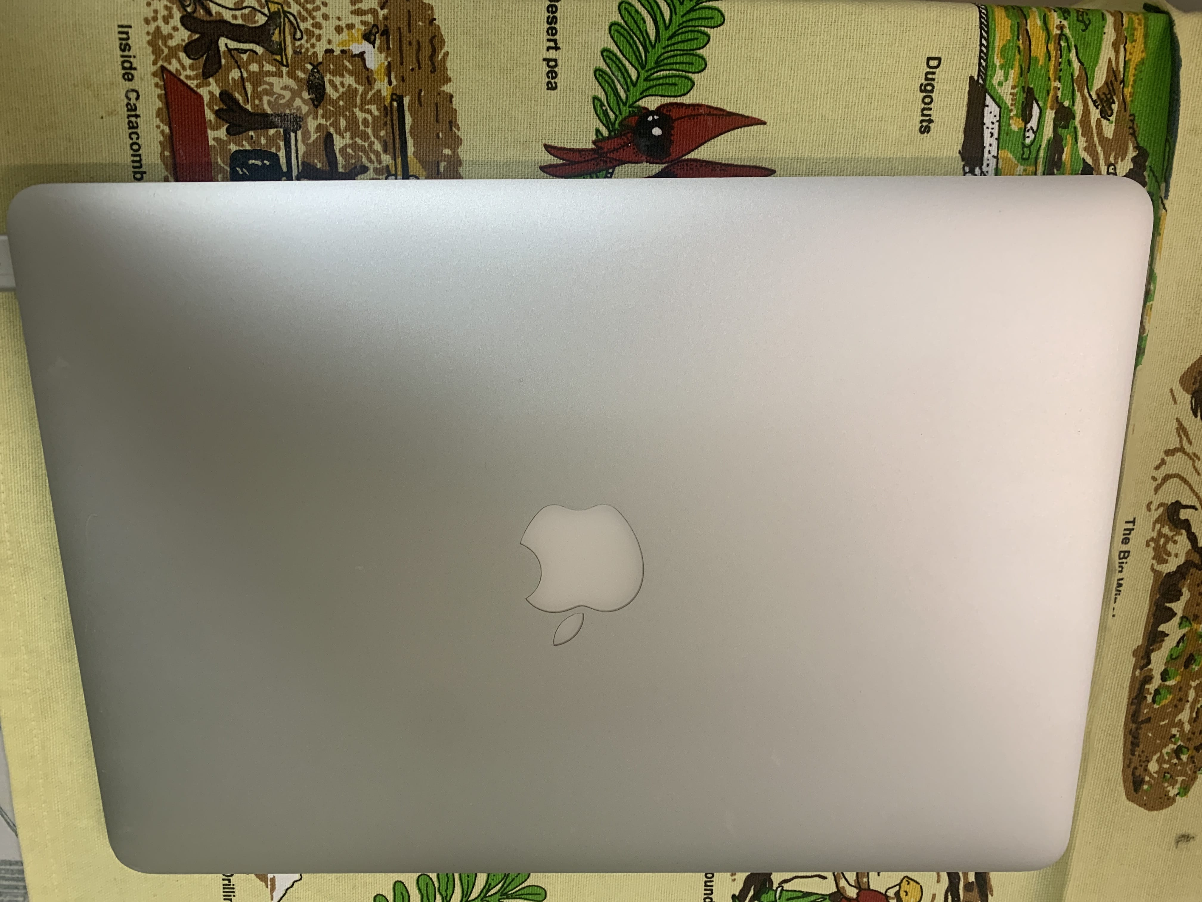 review-image-87871-11