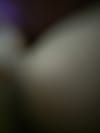 review-image-120371-0