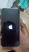 review-image-121258-11