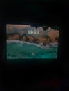 review-image-144284-2