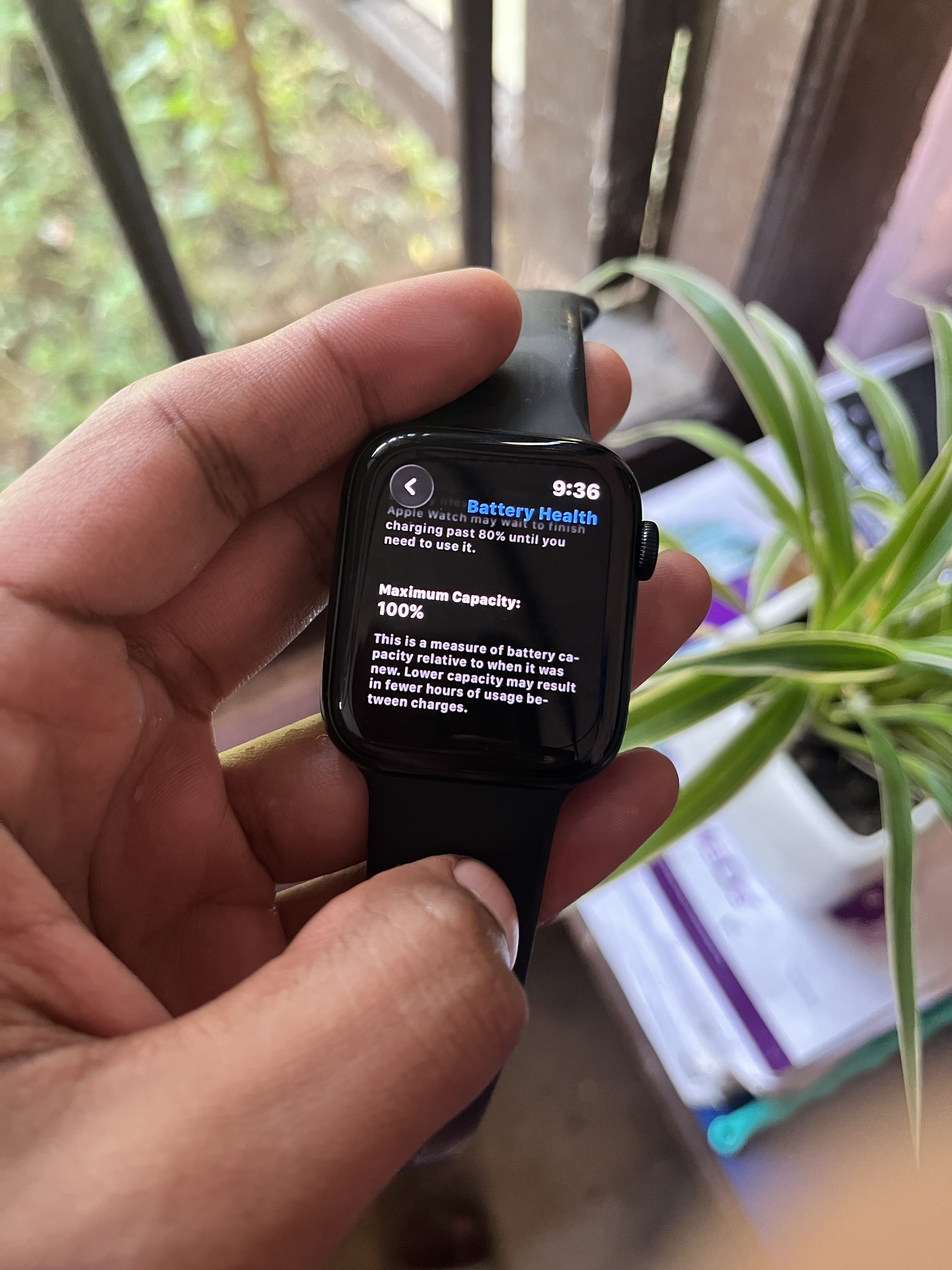 review-image-93052-2