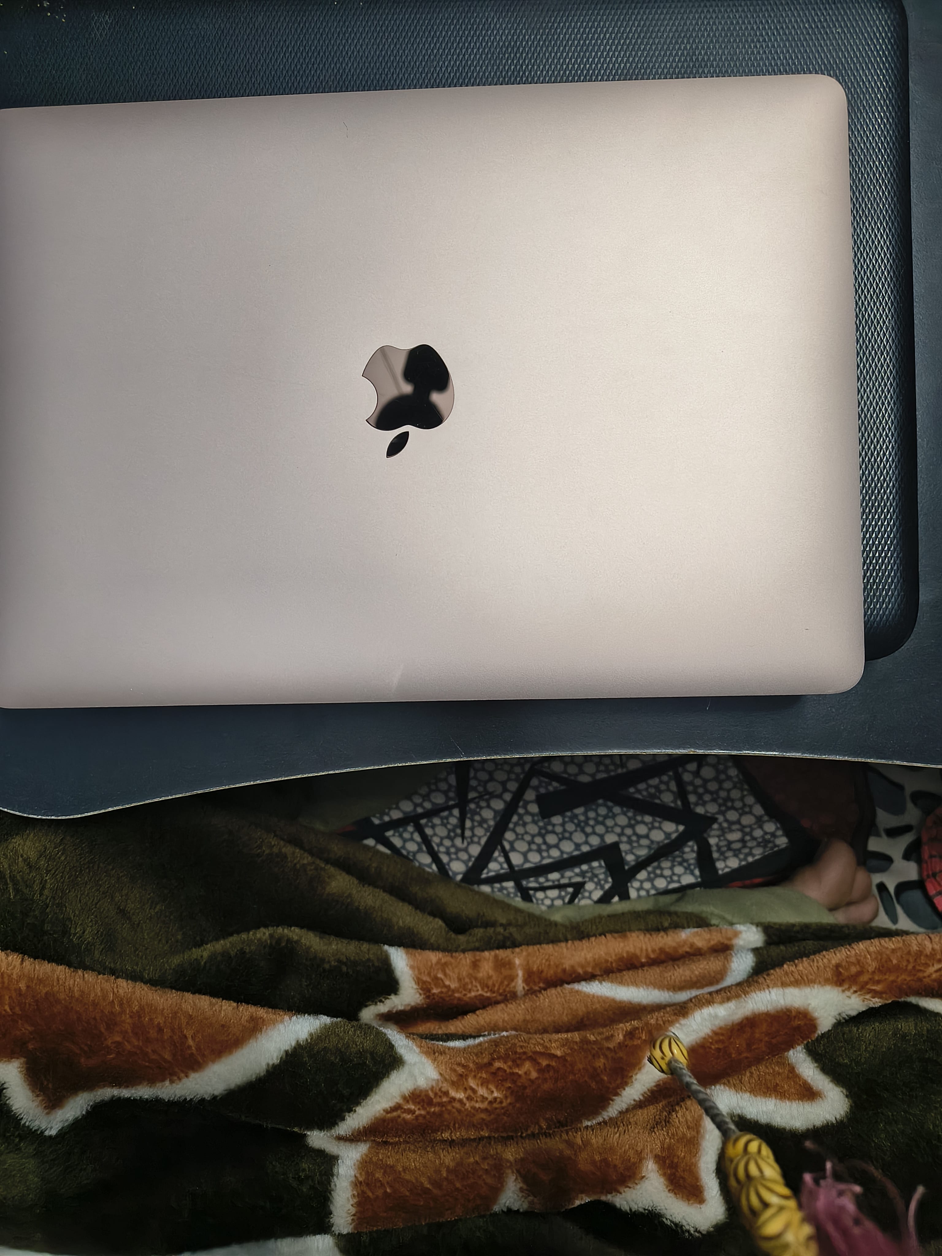 review-image-96584-6