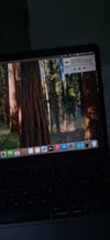 review-image-129282-0