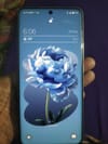 review-image-111705-0