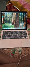 review-image-66984-6