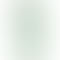 Refurbished Apple iPhone 12 Mini Green Back